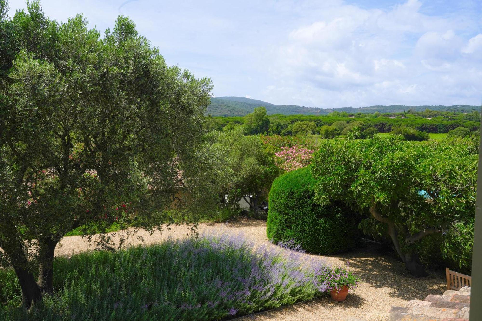 Hôtel la Figuière Ramatuelle Quarto foto